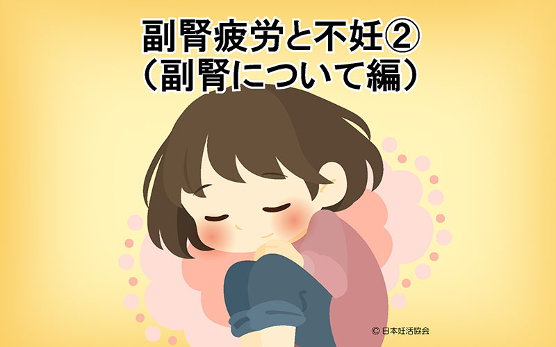 副腎疲労とは何ですか?